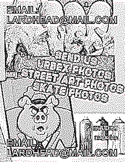 Lardhead Flyer